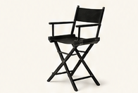 Director's chair